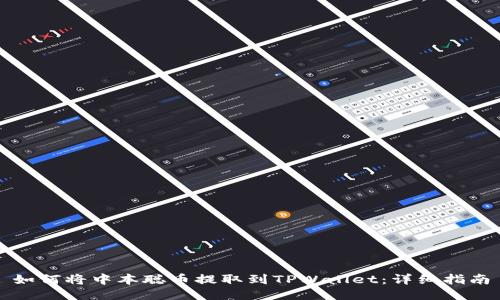 如何将中本聪币提取到TPWallet：详细指南
