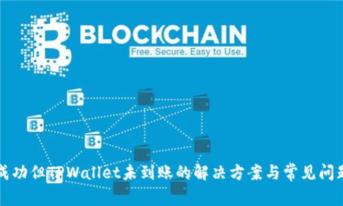 提币成功但TPWallet未到账的解决方案与常见问题解析