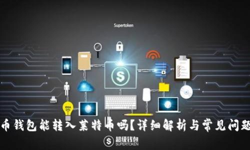 比特币钱包能转入莱特币吗？详细解析与常见问题解答