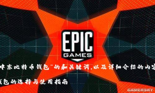 以下是关于“中东比特币钱包”的和关键词，以及详细介绍的内容和相关问题。

中东比特币钱包的选择与使用指南