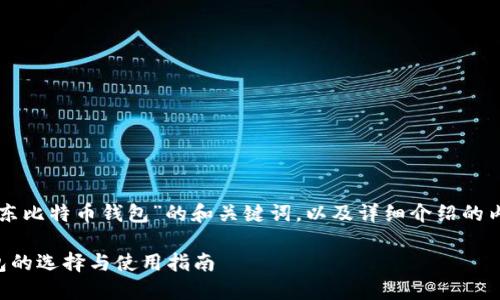 以下是关于“中东比特币钱包”的和关键词，以及详细介绍的内容和相关问题。

中东比特币钱包的选择与使用指南