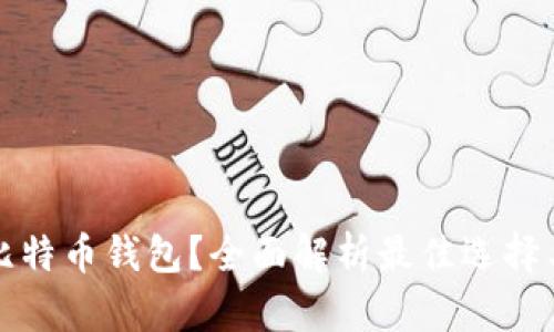 如何选择比特币钱包？全面解析最佳选择与使用指南