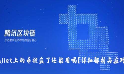 TPWallet上的币被盗了还能用吗？详细解析与应对措施