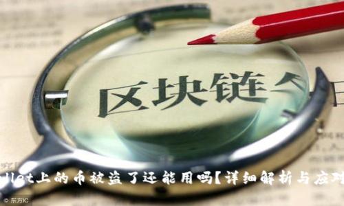 TPWallet上的币被盗了还能用吗？详细解析与应对措施