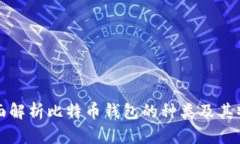 全面解析比特币钱包的种