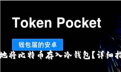 如何安全地将比特币存入冷钱包？详细指南与技巧