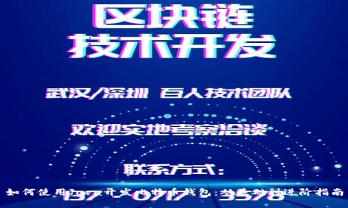 如何使用Java开发比特币钱包：从基础到进阶指南