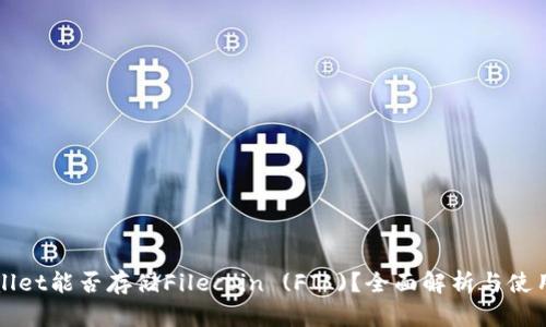 tpWallet能否存储Filecoin (FIL)？全面解析与使用指南