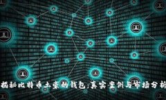 揭秘比特币土豪的钱包：