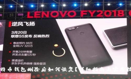 比特币钱包删除后如何恢复？详细指南与实用技巧