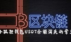 解决小狐狸钱包USDT余额消失的常见问题