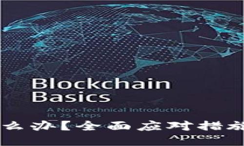 TPWallet跑路怎么办？全面应对措施与风险管理指南