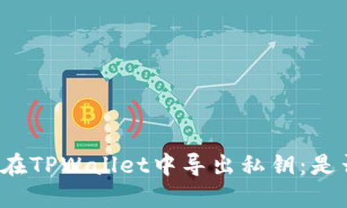 如何安全地在TPWallet中导出私钥：是否需要断网？