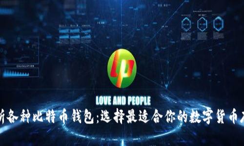 全面解析各种比特币钱包：选择最适合你的数字货币存储方案