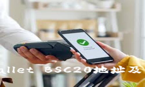 如何找到TP Wallet BSC20地址及其使用方法一览