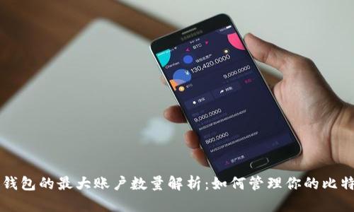 比特币钱包的最大账户数量解析：如何管理你的比特币资产