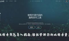 比特币钱包导入指南：轻