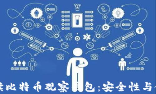 
深入解读比特币观察钱包：安全性与使用技巧