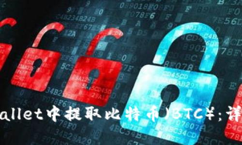 如何在TPWallet中提取比特币（BTC）：详细视频教程