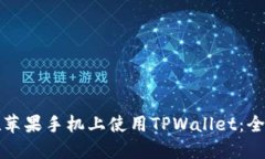 如何在苹果手机上使用T