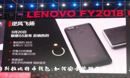 特斯拉比特币钱包：如何安全管理您的数字资产
