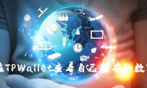 如何在TPWallet查看自己持有的数字货币