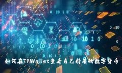 如何在TPWallet查看自己持有