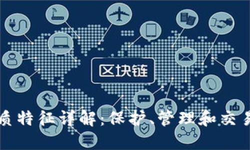 比特币钱包的本质特征详解：保护、管理和交易加密货币的工具