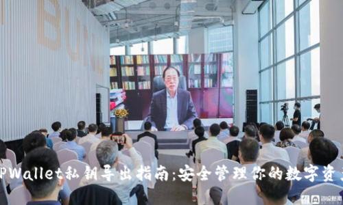TPWallet私钥导出指南：安全管理你的数字资产