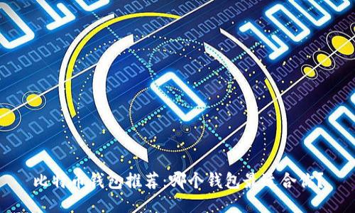 比特币钱包推荐：哪个钱包最适合你？