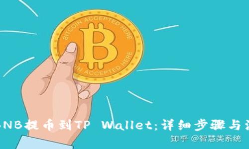 如何将BNB提币到TP Wallet：详细步骤与注意事项