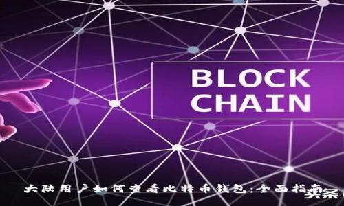大陆用户如何查看比特币钱包：全面指南