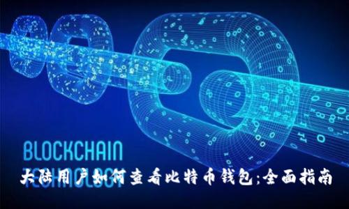 大陆用户如何查看比特币钱包：全面指南