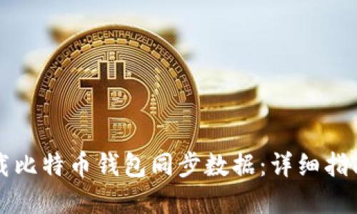 如何高效下载比特币钱包同步数据：详细指南与最佳实践
