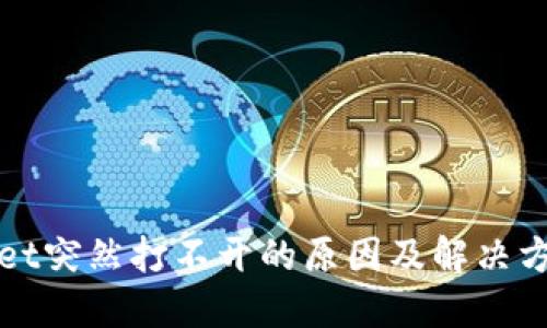 TPWallet突然打不开的原因及解决方案详解
