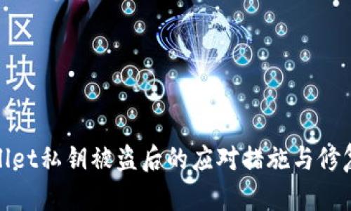 tpwallet私钥被盗后的应对措施与修复指南