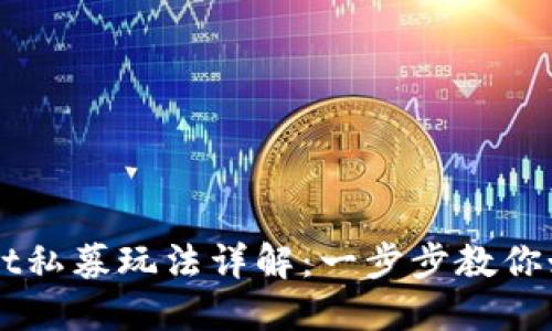 TPWallet私募玩法详解：一步步教你如何参与