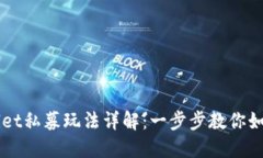 TPWallet私募玩法详解：一步