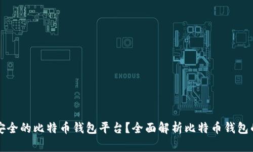 如何选择正规安全的比特币钱包平台？全面解析比特币钱包的安全性及推荐
