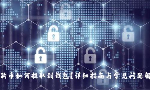 狗狗币如何提取到钱包？详细指南与常见问题解答