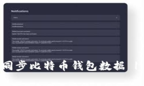 如何高效同步比特币钱包数据 | 完整指南
