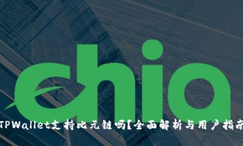 TPWallet支持比元链吗？全面解析与用户指南