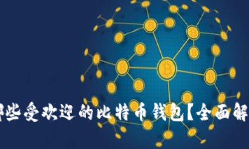 国内有哪些受欢迎的比特币钱包？全面解析与推荐
