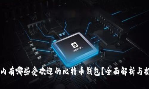 国内有哪些受欢迎的比特币钱包？全面解析与推荐