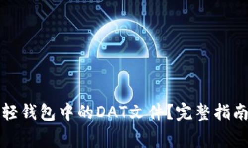 如何导入比特币轻钱包中的DAT文件？完整指南与常见问题解答