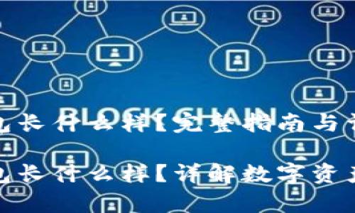 比特币钱包长什么样？完整指南与详细解读

比特币钱包长什么样？详解数字资产安全存储