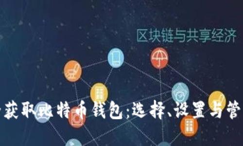 如何安全获取比特币钱包：选择、设置与管理全攻略