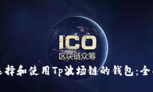 如何选择和使用Tp波场链的钱包：全面指南