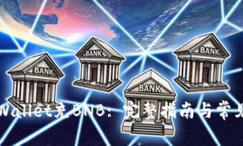 如何向TPWallet充BNB: 完整指南与常见问题解答
