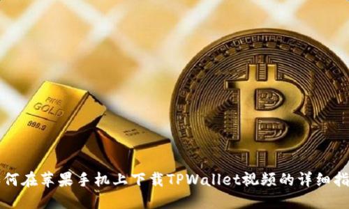 如何在苹果手机上下载TPWallet视频的详细指南
